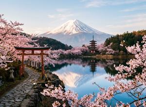 广州领区日本个人旅游单次签证