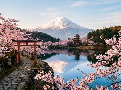 广州领区日本个人商务单次签证